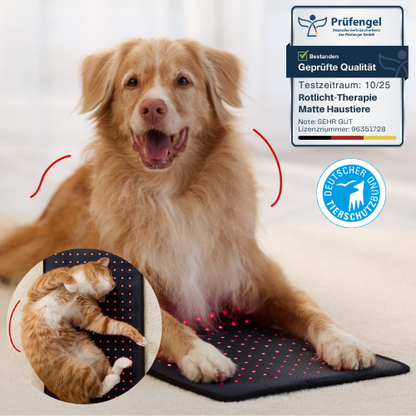 Rotlicht-Therapiematte für Haustiere