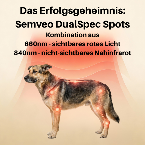 Rotlicht-Therapiematte & Gürtel für Hunde
