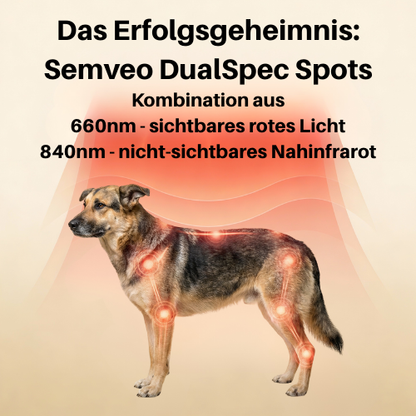 Rotlicht-Therapiematte & Gürtel für Hunde
