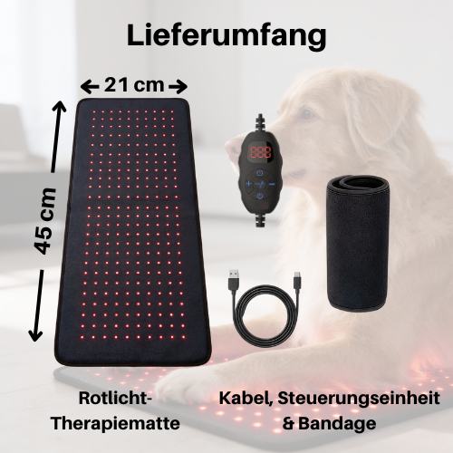 Rotlicht-Therapiematte & Gürtel für Hunde