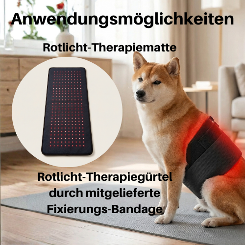 Rotlicht-Therapiematte & Gürtel für Hunde