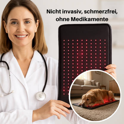 Rotlicht-Therapiematte & Gürtel für Hunde