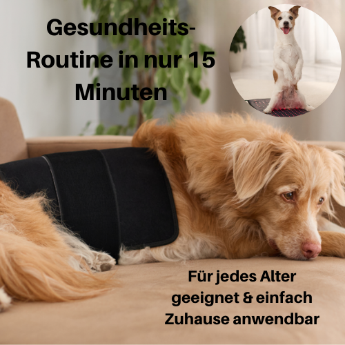 Rotlicht-Therapiematte & Gürtel für Hunde