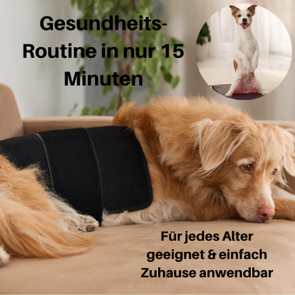Rotlicht-Therapiematte & Gürtel für Hunde