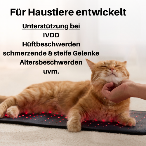 Rotlicht-Therapiematte für Haustiere