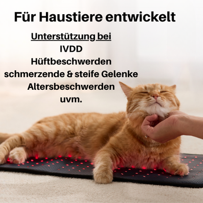 Rotlicht-Therapiematte für Haustiere