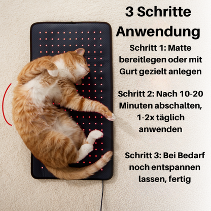 Rotlicht-Therapiematte für Haustiere
