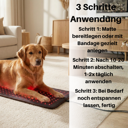 Rotlicht-Therapiematte & Gürtel für Hunde