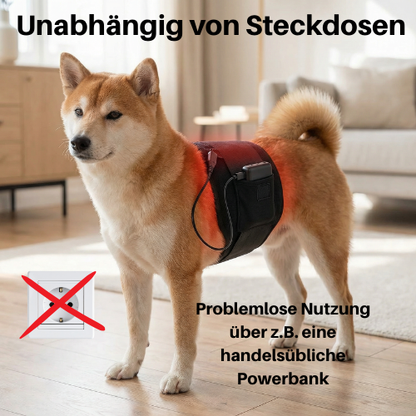 Rotlicht-Therapiematte & Gürtel für Hunde