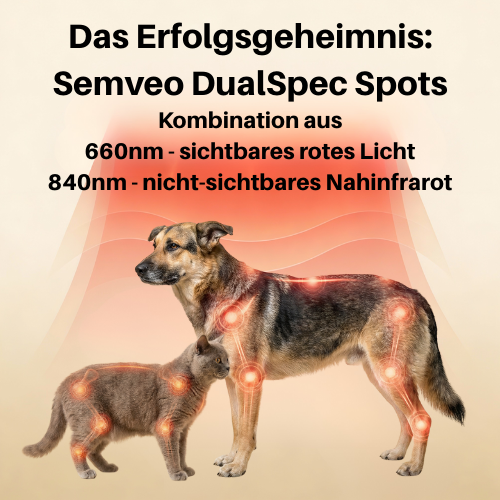 Rotlicht-Therapiematte für Haustiere