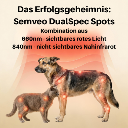 Rotlicht-Therapiematte für Haustiere