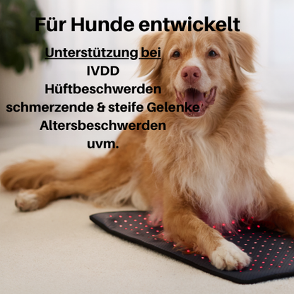 Rotlicht-Therapiematte & Gürtel für Hunde